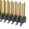 TSM-122-02-SM-DV-LC-P-TR Image