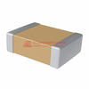 SH31N220J102CT Image